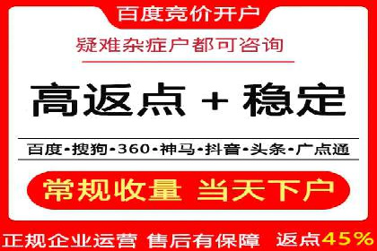 充值高返点：经典案例回顾与解析